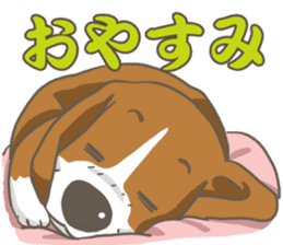 Wanko-Biyori Vol.2 Beagle sticker #8166553