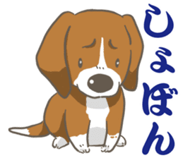 Wanko-Biyori Vol.2 Beagle sticker #8166559