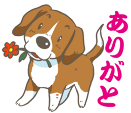 Wanko-Biyori Vol.2 Beagle sticker #8166562
