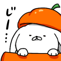 inukoro-san in autumn