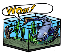 Aquarium[Amazon] ( English version) sticker #8167579