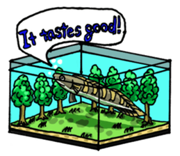 Aquarium[Amazon] ( English version) sticker #8167580