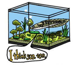 Aquarium[Amazon] ( English version) sticker #8167585