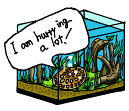 Aquarium[Amazon] ( English version) sticker #8167594