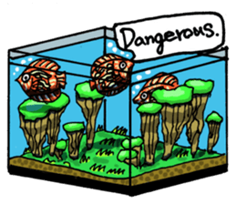 Aquarium[Amazon] ( English version) sticker #8167599