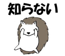So Cute! Lovely Harilyn Hedgehog II sticker #8170492