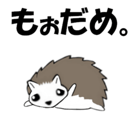 So Cute! Lovely Harilyn Hedgehog II sticker #8170498