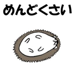 So Cute! Lovely Harilyn Hedgehog II sticker #8170504