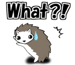 So Cute! Lovely Harilyn Hedgehog II sticker #8170505