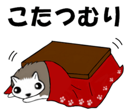 So Cute! Lovely Harilyn Hedgehog II sticker #8170519