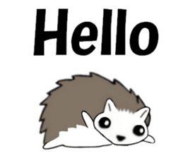 So Cute! Lovely Harilyn Hedgehog II sticker #8170521