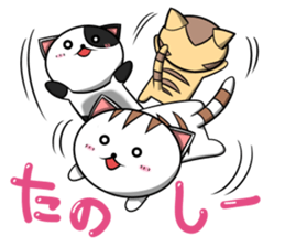 Orthodox cat sticker #8170649