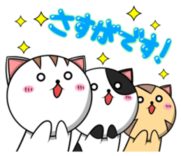 Orthodox cat sticker #8170657