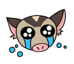 I love sugar gliders sticker #8171342