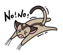 I love sugar gliders sticker #8171347