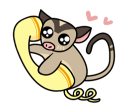 I love sugar gliders sticker #8171358