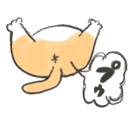 Exotic Shorthair&friends sticker #8171805