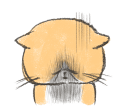 Exotic Shorthair&friends sticker #8171807