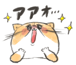 Exotic Shorthair&friends sticker #8171808