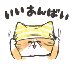 Exotic Shorthair&friends sticker #8171810