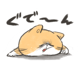 Exotic Shorthair&friends sticker #8171813