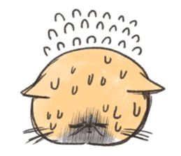 Exotic Shorthair&friends sticker #8171814