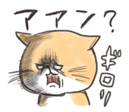 Exotic Shorthair&friends sticker #8171816