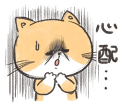 Exotic Shorthair&friends sticker #8171817