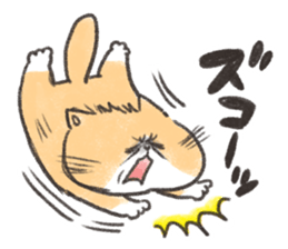 Exotic Shorthair&friends sticker #8171818