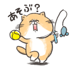 Exotic Shorthair&friends sticker #8171819