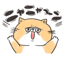 Exotic Shorthair&friends sticker #8171821