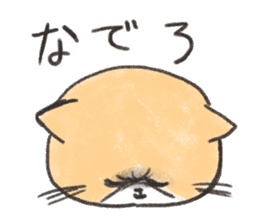 Exotic Shorthair&friends sticker #8171823