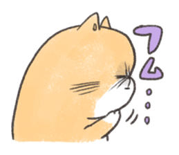 Exotic Shorthair&friends sticker #8171825