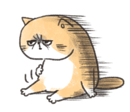 Exotic Shorthair&friends sticker #8171828