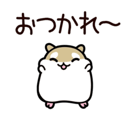 HamsterCollection sticker #8172205