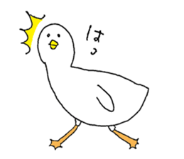 Funny animals cute sticker sticker #8176219