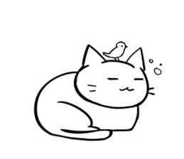 loose loose white cat sticker #8176314