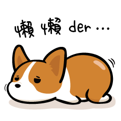 Corgi Dog KaKa - Daily Life