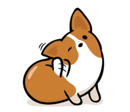 Corgi Dog KaKa - Daily Life sticker #8177388