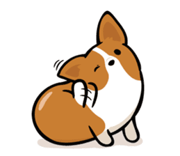 Corgi Dog KaKa - Daily Life sticker #8177388