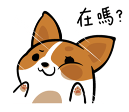 Corgi Dog KaKa - Daily Life sticker #8177389