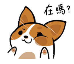 Corgi Dog KaKa - Daily Life sticker #8177389