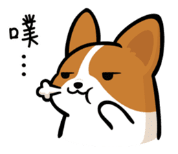 Corgi Dog KaKa - Daily Life sticker #8177394