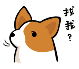 Corgi Dog KaKa - Daily Life sticker #8177395