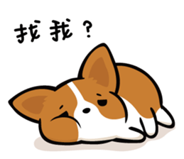 Corgi Dog KaKa - Daily Life sticker #8177396