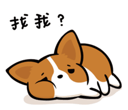Corgi Dog KaKa - Daily Life sticker #8177396