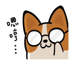 Corgi Dog KaKa - Daily Life sticker #8177400