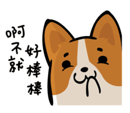 Corgi Dog KaKa - Daily Life sticker #8177402