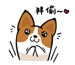 Corgi Dog KaKa - Daily Life sticker #8177404