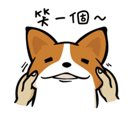 Corgi Dog KaKa - Daily Life sticker #8177405